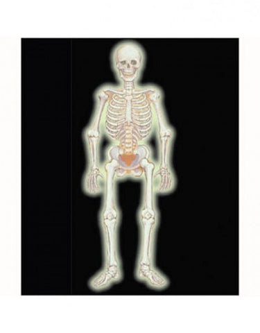 Halloween Skeleton Jointed Glows in the dark