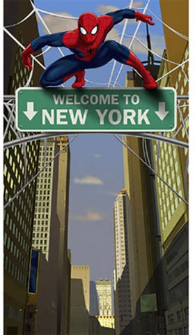 Spiderman Hero Door Banner