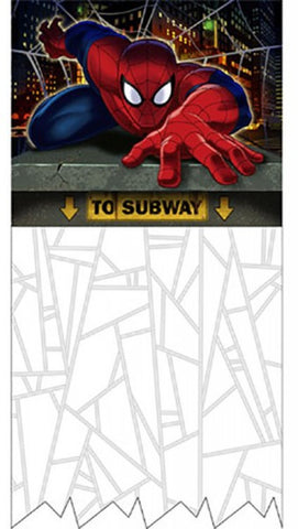 Spiderman Hero Doorway Curtain